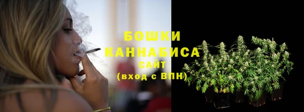 мдпв Киреевск